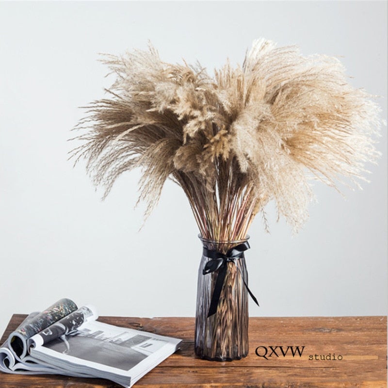 natural-dried-flowersgrass-487054