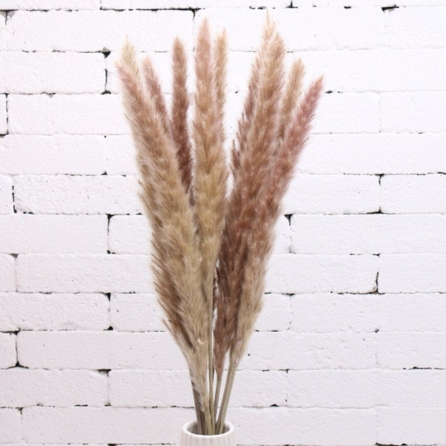 natural-dried-flowersgrass-547556 Accessories Natural Dried Flowers/Grass - Living Simply House