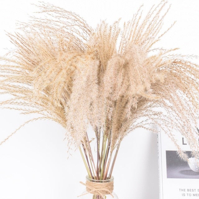 natural-dried-flowersgrass-977159 Accessories Natural Dried Flowers/Grass - Living Simply House